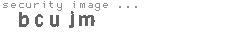 security image