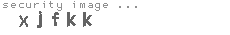 security image