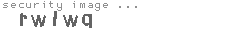 security image