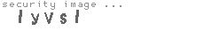 security image
