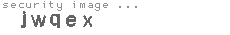 security image