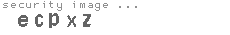 security image