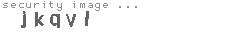 security image