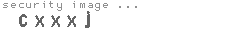security image