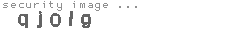 security image
