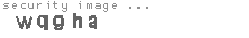 security image