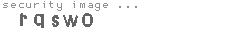 security image