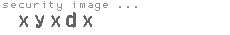 security image