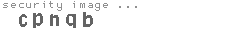 security image