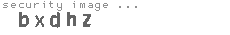 security image