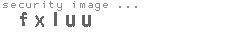 security image