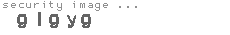 security image