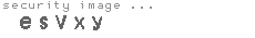 security image