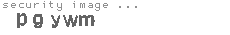 security image