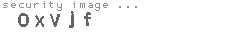 security image