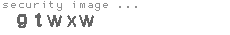 security image