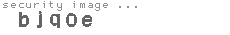 security image