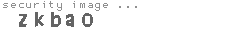 security image