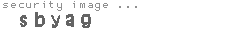 security image