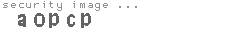 security image