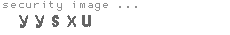 security image