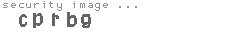 security image