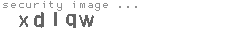 security image