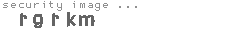 security image