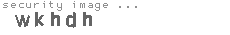 security image