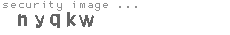 security image