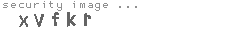security image