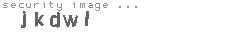 security image