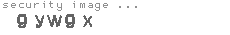 security image
