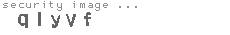 security image