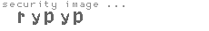 security image