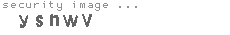 security image