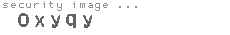 security image
