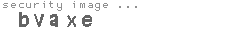 security image