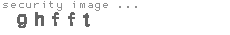 security image
