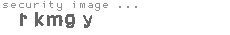security image