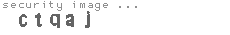 security image