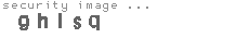 security image