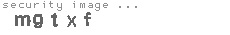 security image