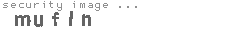 security image