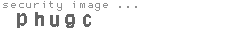 security image