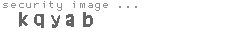 security image