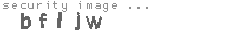 security image