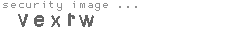 security image