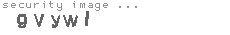 security image