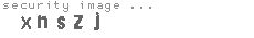 security image